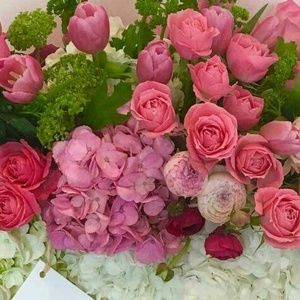 Meet your Posher, Sara